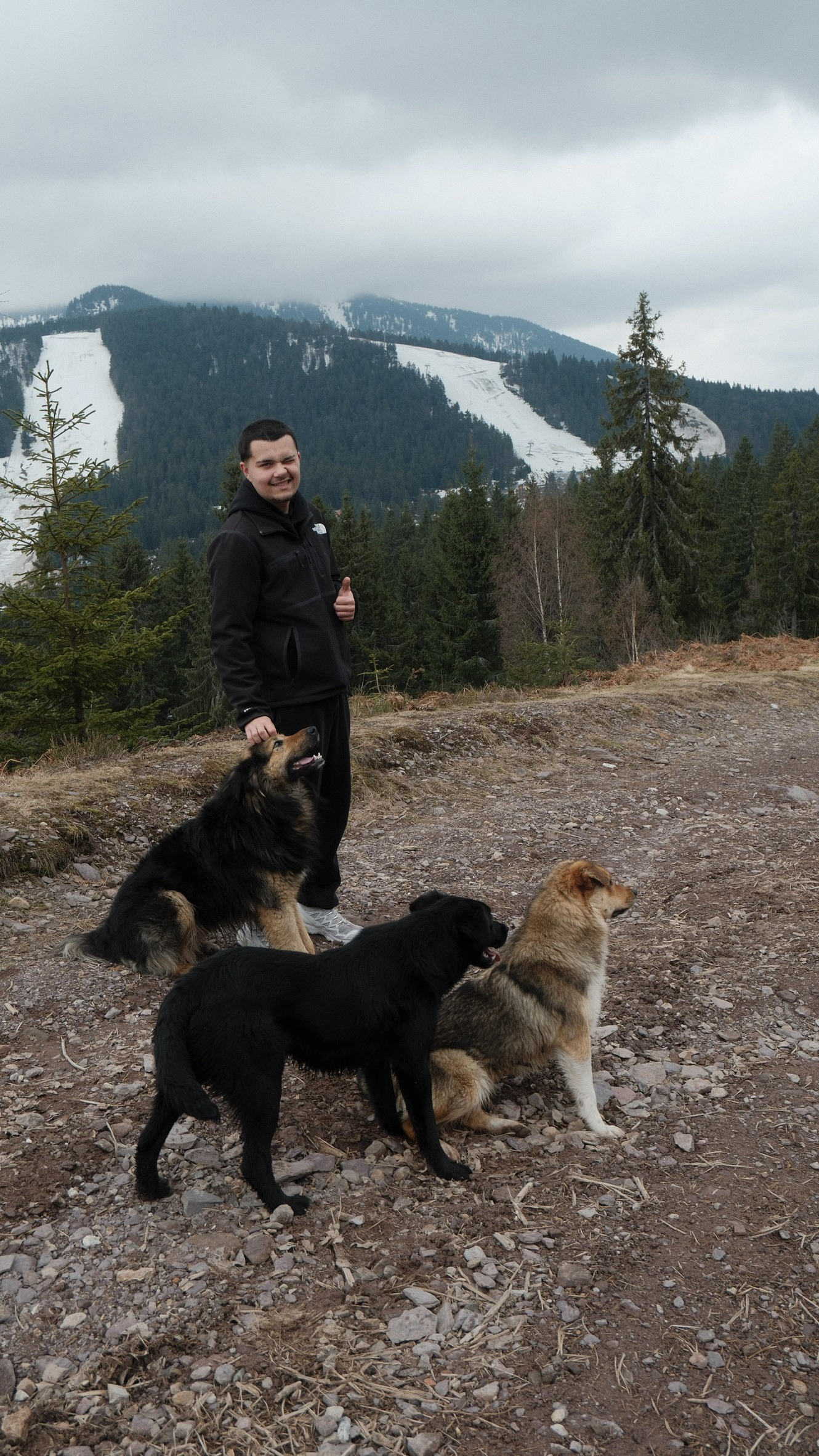 Le promeneur avec trois chiens en montagne